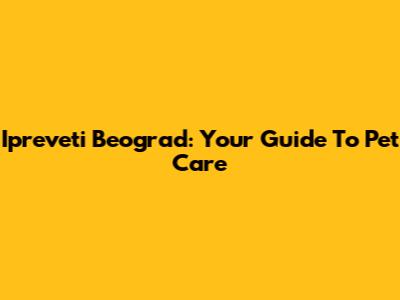 Ipreveti Beograd: Your Guide To Pet Care