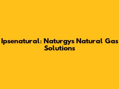 Ipsenatural: Naturgy's Natural Gas Solutions