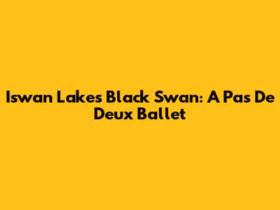 Iswan Lake's Black Swan: A Pas De Deux Ballet