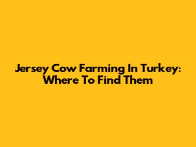 Jersey Cow Farming In Turkey: Where To Find Them