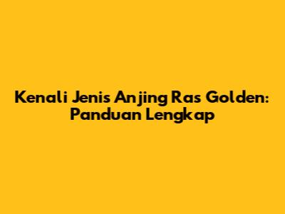 Kenali Jenis Anjing Ras Golden: Panduan Lengkap