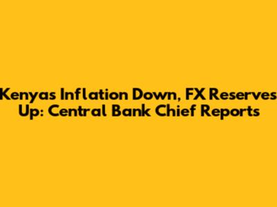 Kenya's Inflation Down, FX Reserves Up: Central Bank Chief Reports