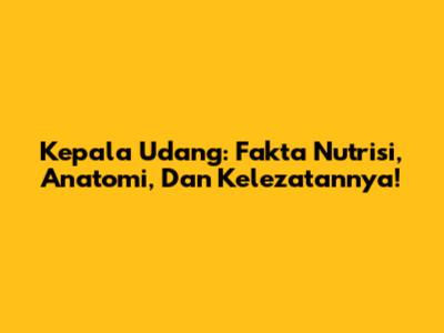 Kepala Udang: Fakta Nutrisi, Anatomi, Dan Kelezatannya!
