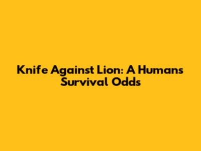 Knife Against Lion: A Human's Survival Odds