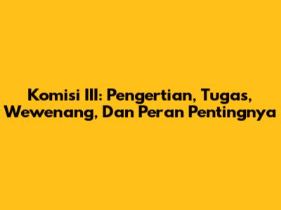 Komisi III: Pengertian, Tugas, Wewenang, Dan Peran Pentingnya