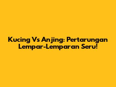 Kucing Vs Anjing: Pertarungan Lempar-Lemparan Seru!