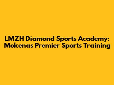 LMZH Diamond Sports Academy: Mokena's Premier Sports Training