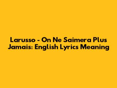 Larusso - On Ne S'aimera Plus Jamais: English Lyrics Meaning