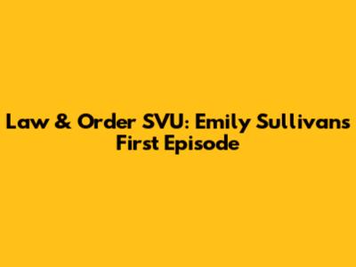 Law & Order SVU: Emily Sullivan's First Episode