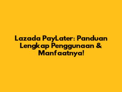 Lazada PayLater: Panduan Lengkap Penggunaan & Manfaatnya!