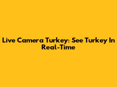 Live Camera Turkey: See Turkey In Real-Time