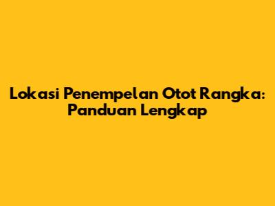 Lokasi Penempelan Otot Rangka: Panduan Lengkap