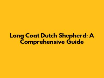 Long Coat Dutch Shepherd: A Comprehensive Guide