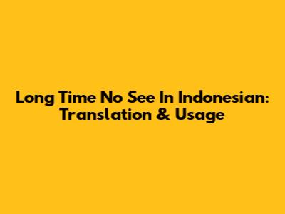 Long Time No See In Indonesian: Translation & Usage