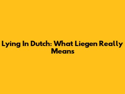 Lying In Dutch: What 'Liegen' Really Means