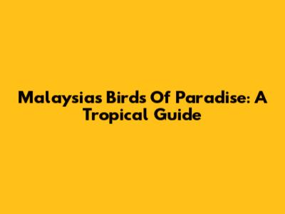 Malaysia's Birds Of Paradise: A Tropical Guide