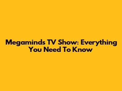 Megamind's TV Show: Everything You Need To Know