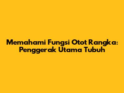 Memahami Fungsi Otot Rangka: Penggerak Utama Tubuh