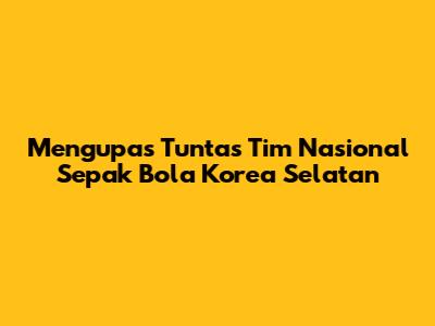 Mengupas Tuntas Tim Nasional Sepak Bola Korea Selatan