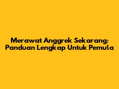 Merawat Anggrek Sekarang: Panduan Lengkap Untuk Pemula