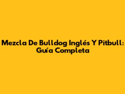 Mezcla De Bulldog Inglés Y Pitbull: Guía Completa