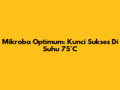 Mikroba Optimum: Kunci Sukses Di Suhu 75°C