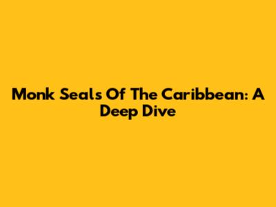 Monk Seals Of The Caribbean: A Deep Dive
