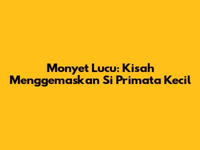 Monyet Lucu: Kisah Menggemaskan Si Primata Kecil
