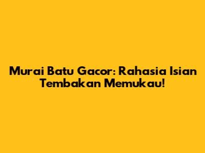 Murai Batu Gacor: Rahasia Isian Tembakan Memukau!
