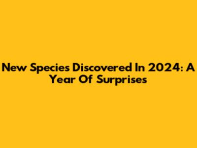 New Species Discovered In 2024: A Year Of Surprises