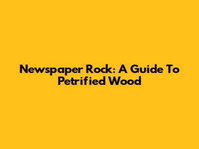 Newspaper Rock: A Guide To Petrified Wood