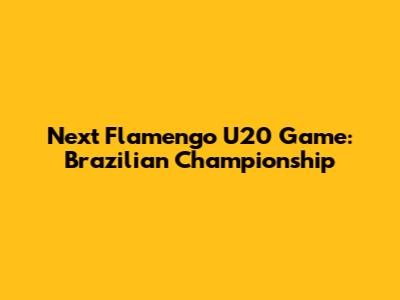 Next Flamengo U20 Game: Brazilian Championship
