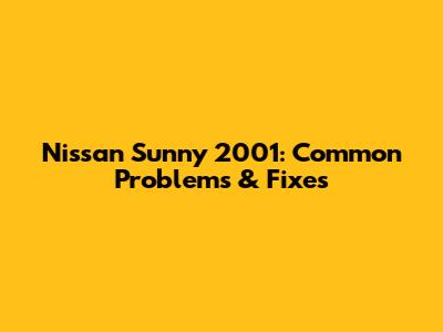 Nissan Sunny 2001: Common Problems & Fixes