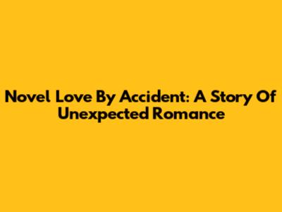 Novel Love By Accident: A Story Of Unexpected Romance