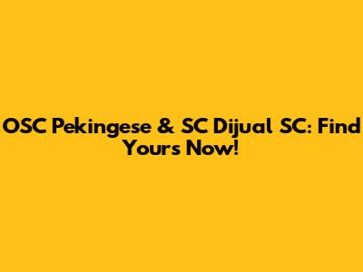 OSC Pekingese & SC Dijual SC: Find Yours Now!