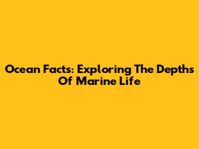 Ocean Facts: Exploring The Depths Of Marine Life