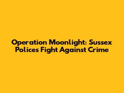 Operation Moonlight: Sussex Police's Fight Against Crime