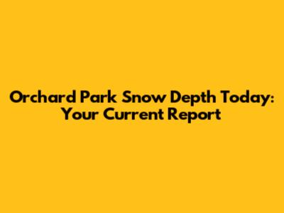 Orchard Park Snow Depth Today: Your Current Report