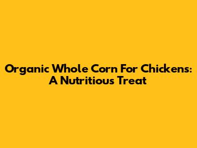 Organic Whole Corn For Chickens: A Nutritious Treat