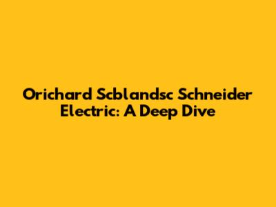 Orichard Scblandsc Schneider Electric: A Deep Dive