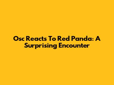 Osc Reacts To Red Panda: A Surprising Encounter