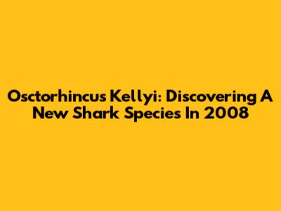Osctorhincus Kellyi: Discovering A New Shark Species In 2008