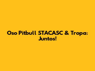 Oso Pitbull STACASC & Tropa: Juntos!