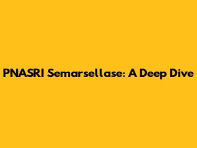 PNASRI Semarsellase: A Deep Dive