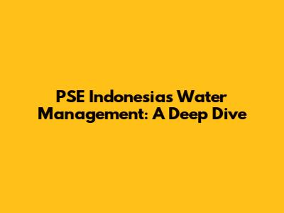 PSE Indonesia's Water Management: A Deep Dive
