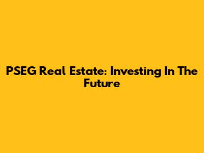 PSEG Real Estate: Investing In The Future