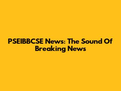 PSEIBBCSE News: The Sound Of Breaking News