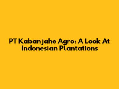 PT Kabanjahe Agro: A Look At Indonesian Plantations