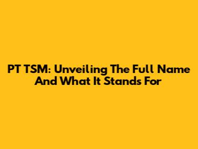 PT TSM: Unveiling The Full Name And What It Stands For