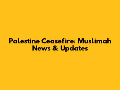 Palestine Ceasefire: Muslimah News & Updates